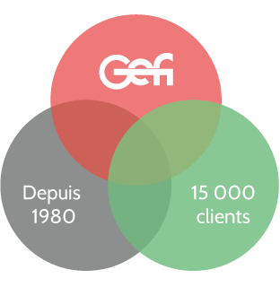 Gefi infographics